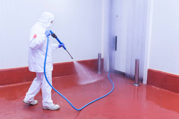 Professional Pressure Washing in Cameron Park, TX